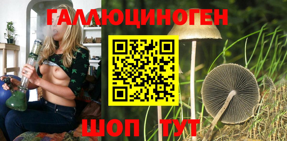 Галлюциногенные грибы GOLDEN TEACHER  Вход с VPN  Галлюциногенные грибы Psilocybine cubensis  Камышлов 