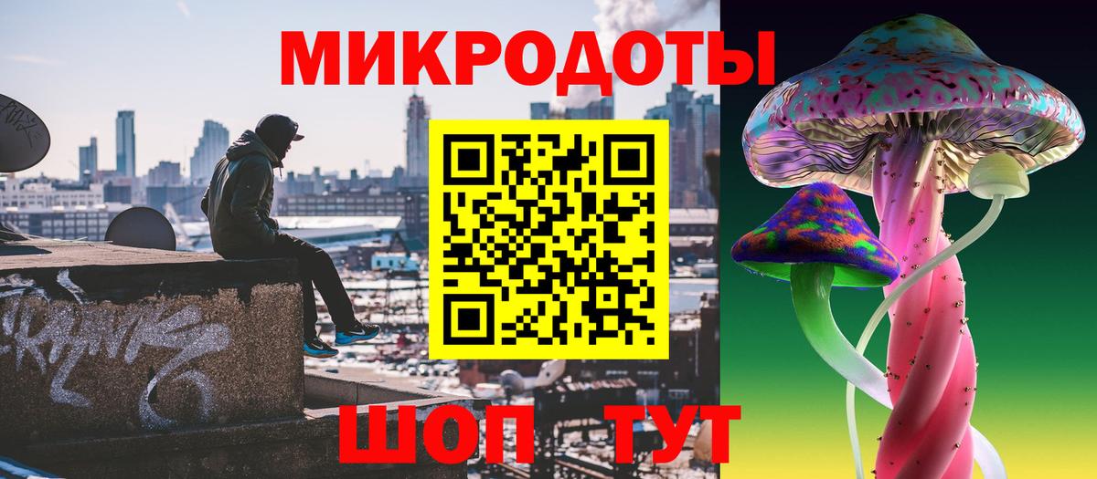 Галлюциногенные грибы мухоморы Камышлов