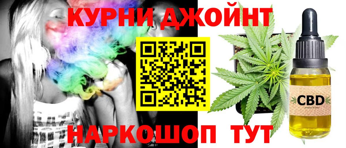 Бошки Шишки план Камышлов